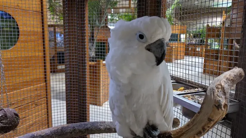 Park Edukacyjny Zoo-Egzotyczne Kaszuby